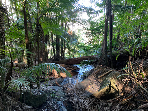 Witches Falls walking track