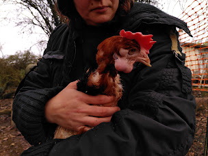 Photo n°11 de La Pondation de Félicie à Le Mesnil-Thomas (Organisation environnementale)