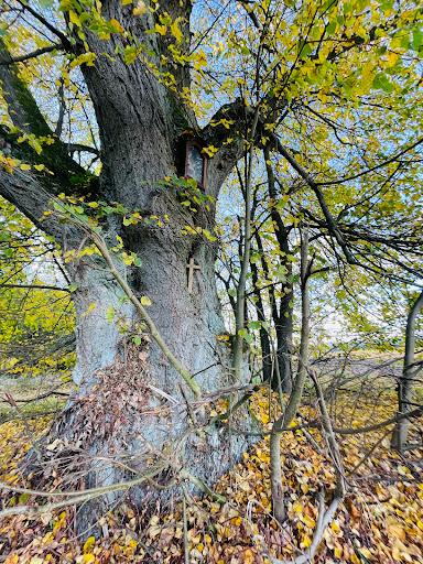 Schwingerlinde - Visual