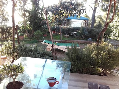 Photos of B&B Residenza Collina dei Pini