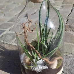 Photo n°33 de Au Detour Du Monde à La Rochelle (Magasin)