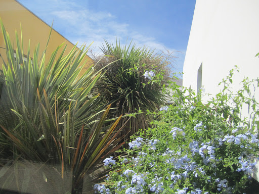 Photo de CLINEA Clinique Du Pont Du Gard à Remoulins (30210)