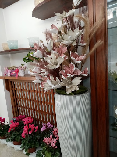Fioreria Orchidea di Lippi Stefania - Thumbnail