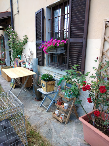 Ambulatorio Veterinario Dr.ssa Bologna Paola