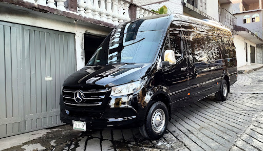 TOUR TRAVEL & LIFE Logo