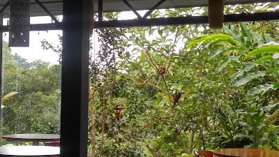 Photos of Talamanca Reserve