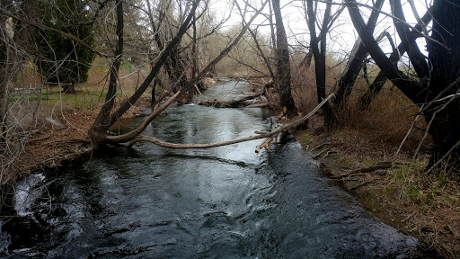 Fullbright Park - Visual