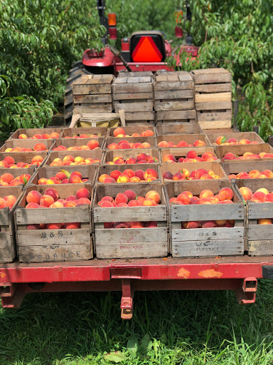 D&S Produce - Thumbnail
