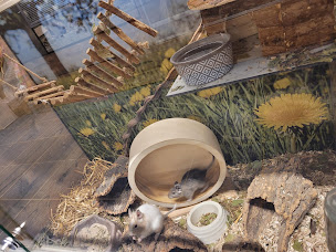 Photo n°9 de Maxi Zoo Houssen à Houssen (Animalerie)