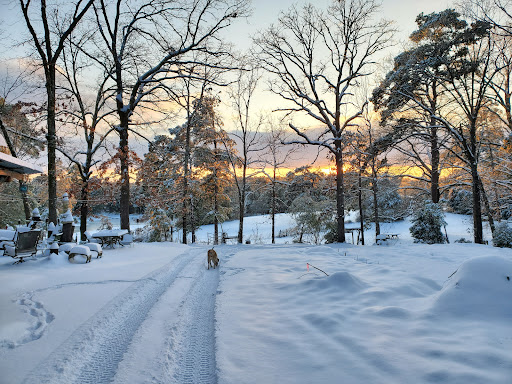 Pine Mills Ranch - Visual