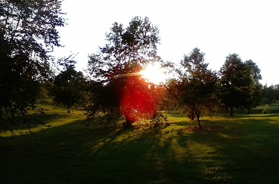 Kate campbell robertson memorial park