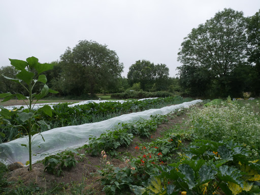 Photo de Les Jardins d'Asclepios à Orval (50660)