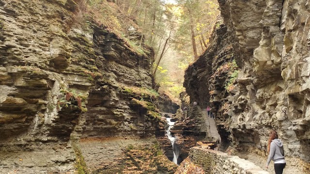 Watkins Glen Gorge Trail