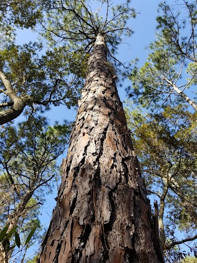 Victoria Bluff Heritage Preserve/Wildlife Management Area