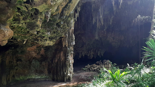 Cenote Caracol - Thumbnail