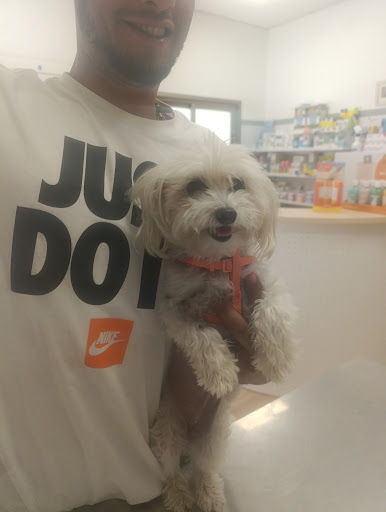 Centro Veterinario Guivet