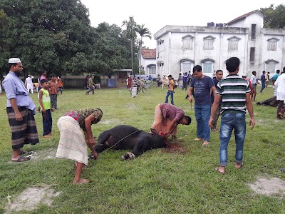 Photos of Gouripur Eid Gah