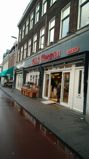 B&B Bloemen Haarlem - Thumbnail