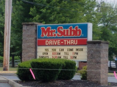 Mr. Subb #01 - Lansingburgh