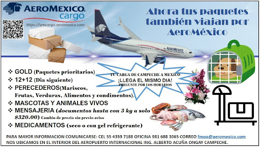 Aeromexico Cargo Campeche - Thumbnail