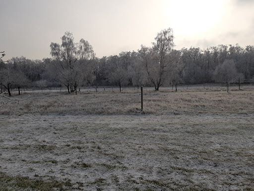 Heidewald - Thumbnail
