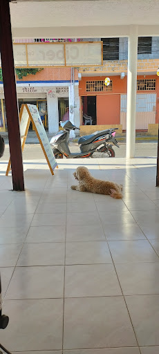 Ciber Control San Marcos Guerrero - Thumbnail