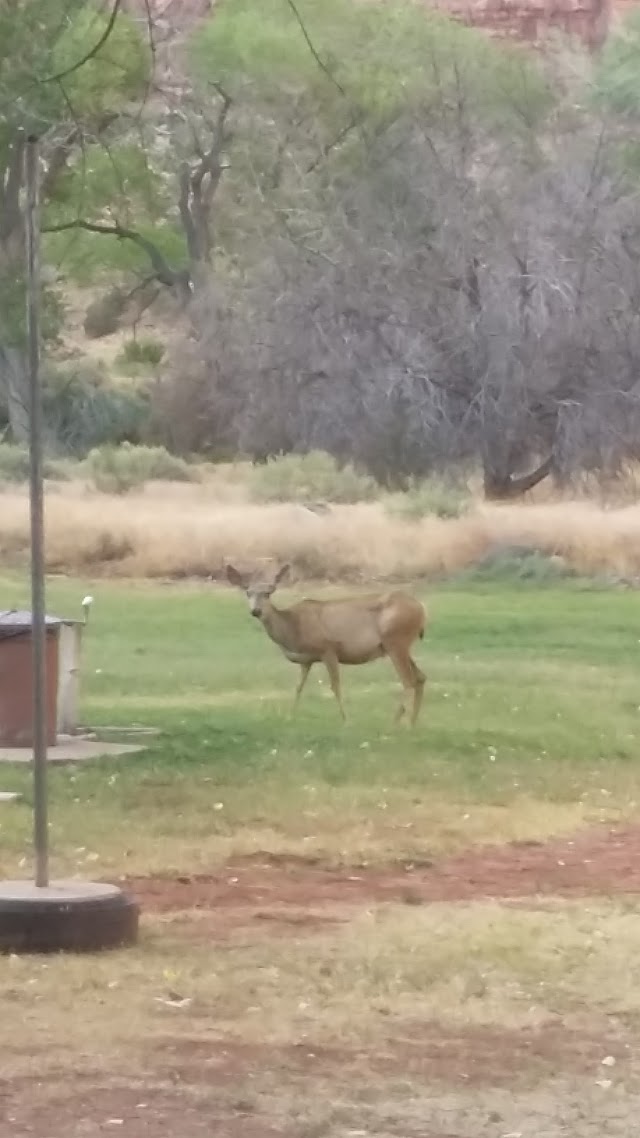 Zion Nature Center