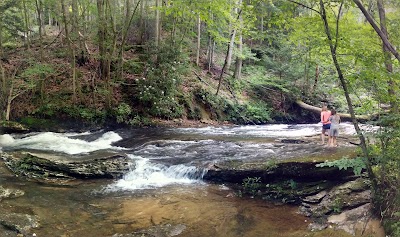 Photos of Holly River State Park