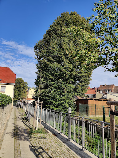 Mühlendamm 13 Parking - Visual