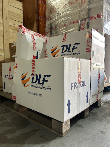 DLF Spain - Thumbnail