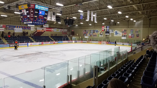 Levis Arena - Visual