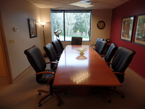 Skyline Properties - Visual