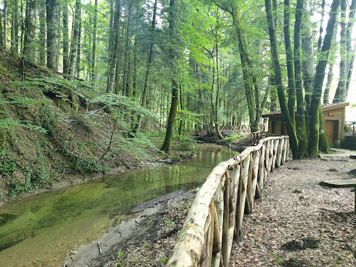 Area Picnic Collemeluccio