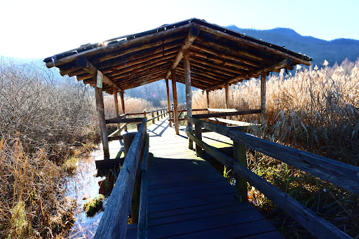 Passerella sul lago - Thumbnail