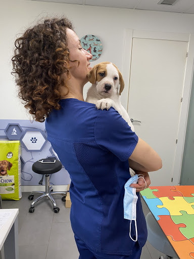 Clínica Veterinaria Hispanidad