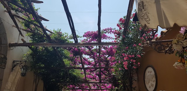Pepè Positano