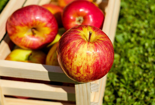 Fruits Et Legumes Provence Indust