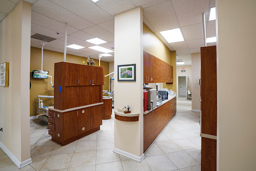 Nadia Sobolev, DDS - Visual