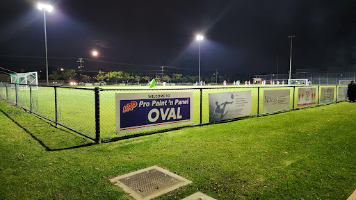 Pro Paint's Panel Oval
