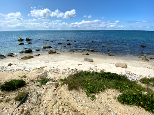 Cedar Tree Neck Sanctuary Parking