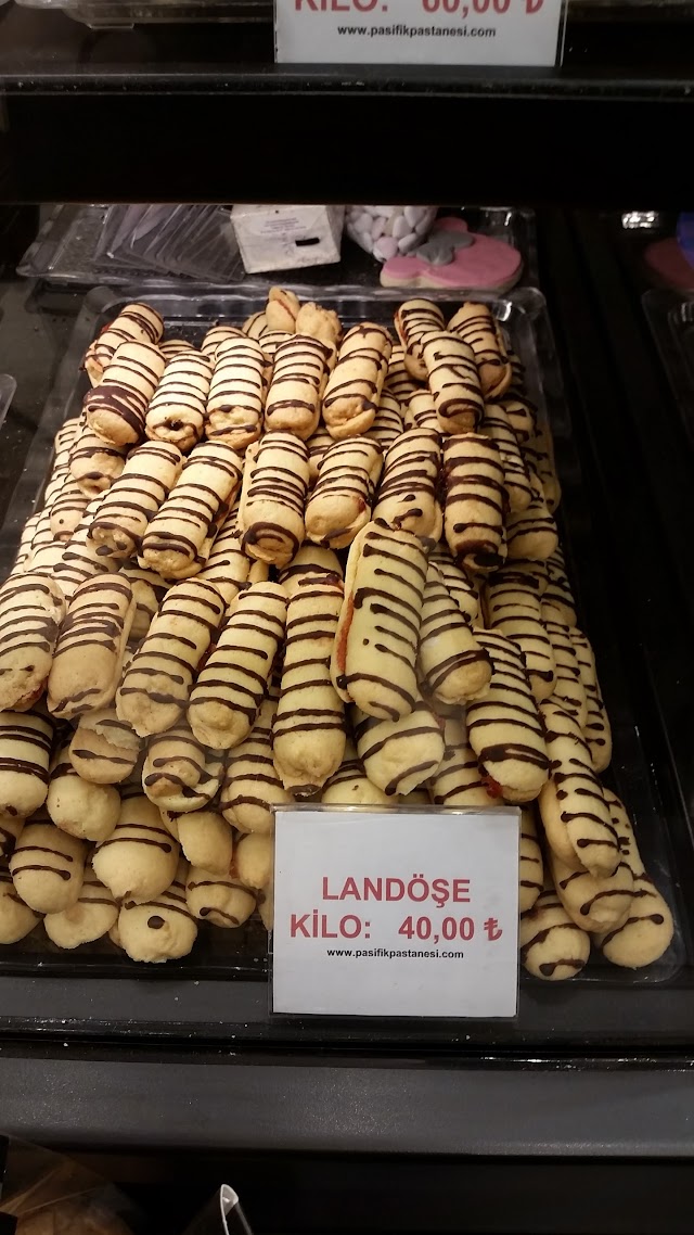 Pasifik Pastanesi