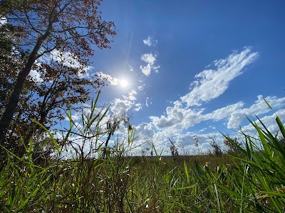 Barr Hammock Preserve