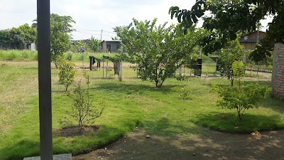 Photos of UsahaMedan