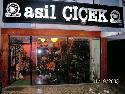 Asil Çiçek