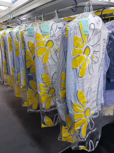 Daisy Fresh Professional Dry Cleaners - Thumbnail