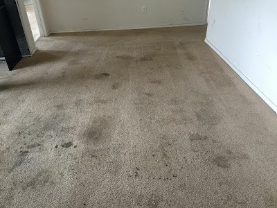 A Team Carpet Clean