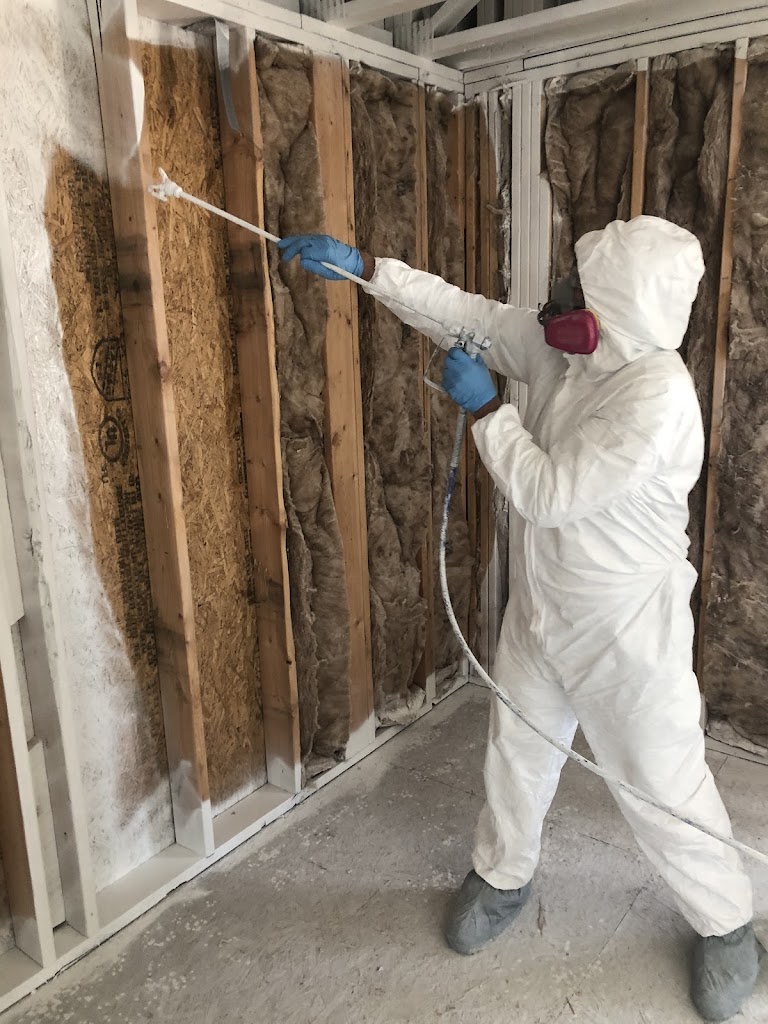 Mold Solutions photo