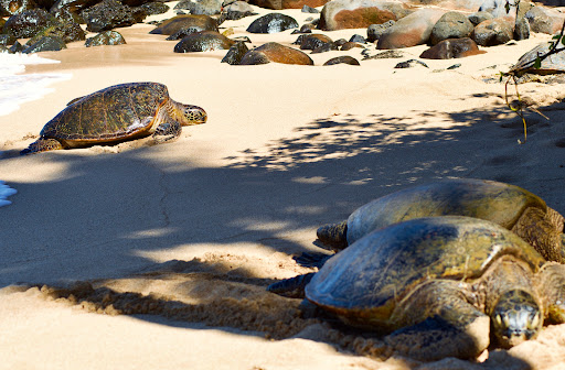 Kū’au Beach Park
