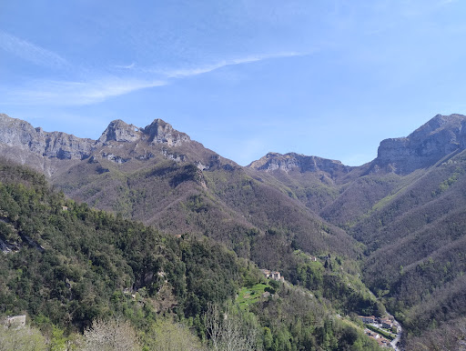 Pruno Capolinea - Visual