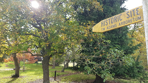 Adams Arboretum